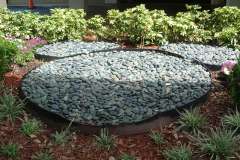 DSCF5468